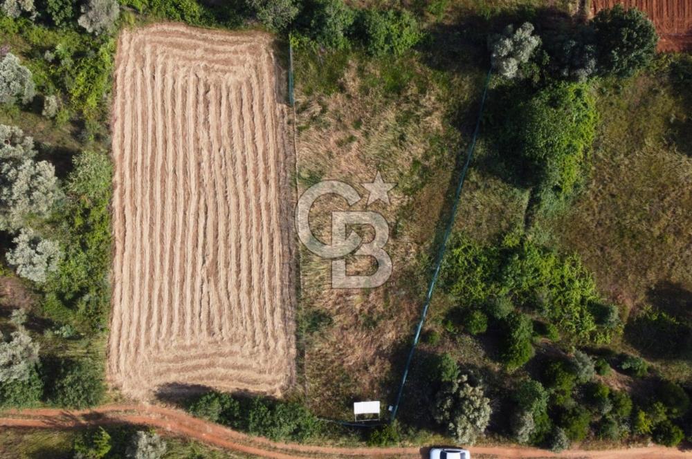Çanakkale Lapseki Dışbudak Köyü 983 m² Yolu Olan Satılık Tarla