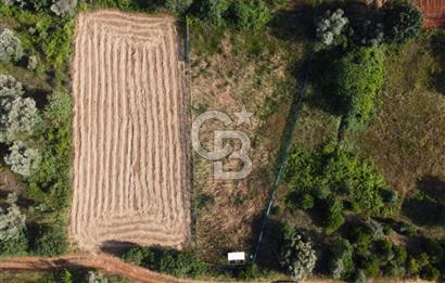 Çanakkale Lapseki Dışbudak Köyü 983 m² Yolu Olan Satılık Tarla