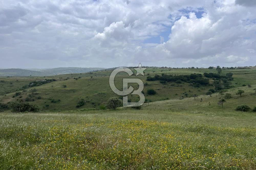 BALIKESİR KARESİ KÖTEYLİ'DE SATILIK TARLA...! 14.901 m2