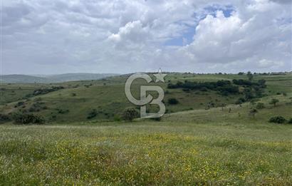 BALIKESİR KARESİ KÖTEYLİ'DE SATILIK TARLA...! 14.901 m2