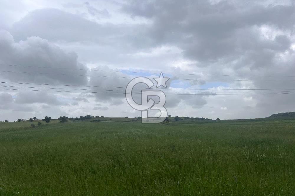 BALIKESİR KARESİ NAİPLİ'DE YOLA CEPHE, EMSALSİZ TARLA! 21.330 m2
