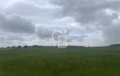 BALIKESİR KARESİ NAİPLİ'DE YOLA CEPHE, EMSALSİZ TARLA! 21.330 m2