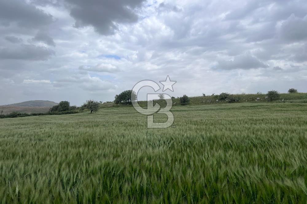 BALIKESİR KARESİ KÖTEYLİ'DE SATILIK TARLA..! 6.344 m2