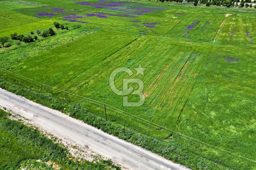 CB OPİA'DAN ŞEKERFABRİKASI YANI YOLA CEPHE YATIRIM FIRSATI TARLA