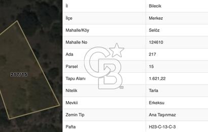 BİLECİK MERKEZ SELÖZ'DE FIRSAT TARLA