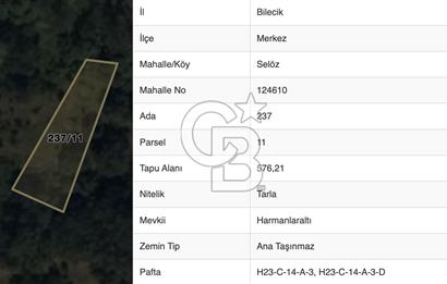 BİLECİK MERKEZ SELÖZ'DE FIRSAT TARLA