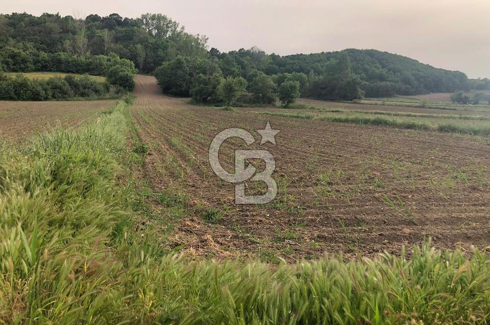 Edirne Uzunköprü Kırkkavak Köyü'nde Köy İçinde Satılık Tarlalar