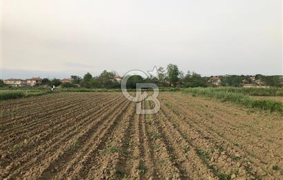 Edirne Uzunköprü Kırkkavak Köyü'nde Köy İçinde Satılık Tarlalar