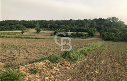 Edirne Uzunköprü Kırkkavak Köyü'nde Köy İçinde Satılık Tarlalar