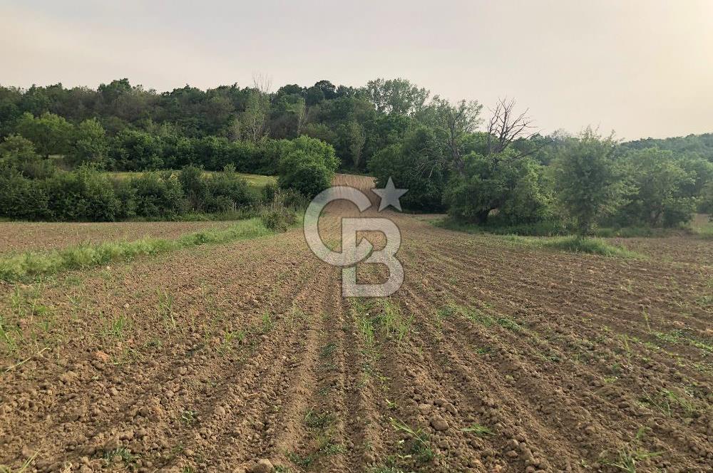 Edirne Uzunköprü Kırkkavak Köyü'nde Köy İçinde Satılık Tarlalar