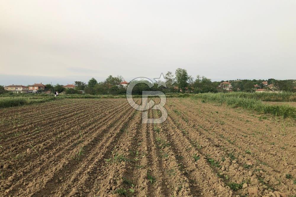 Edirne Uzunköprü Kırkkavak Köyü'nde Köy İçinde Satılık Tarlalar