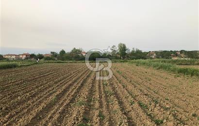 Edirne Uzunköprü Kırkkavak Köyü'nde Köy İçinde Satılık Tarlalar