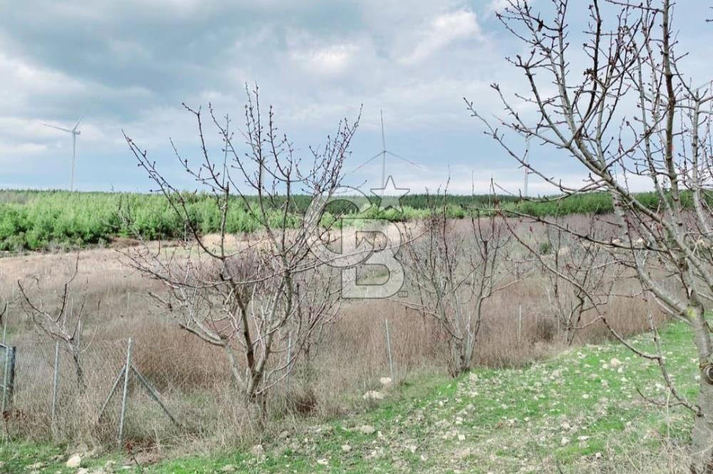 BORNOVA YAKAKÖY'DE ÇOK İYİ KONUMDA ARAZİ