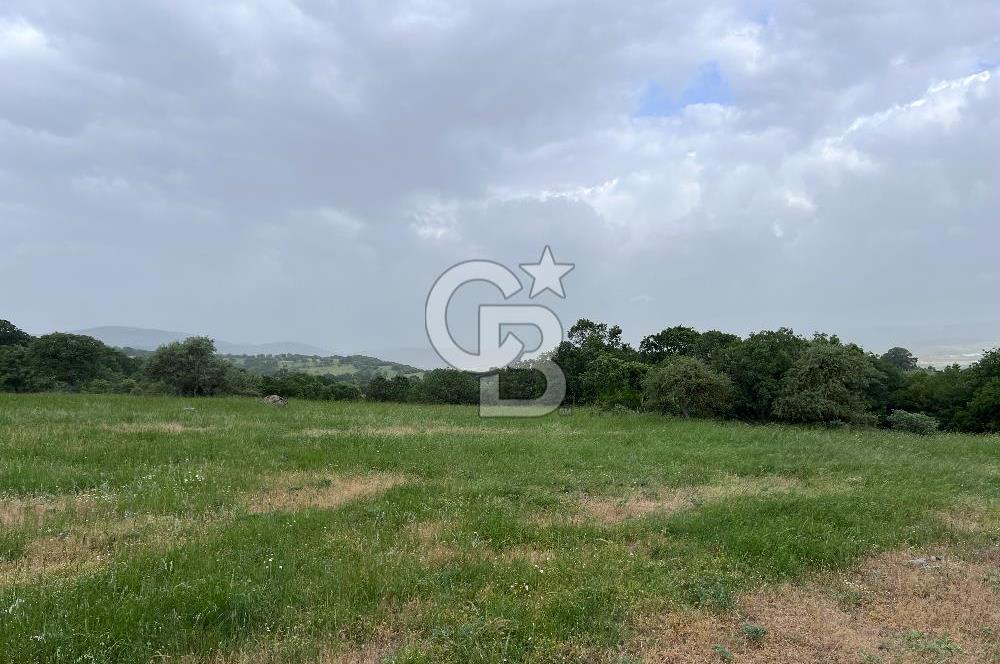 BALIKESİR İVRİNDİ GÖKÇEYAZI'DA HARİKA LOKASYONDA TARLA! 15.950m2
