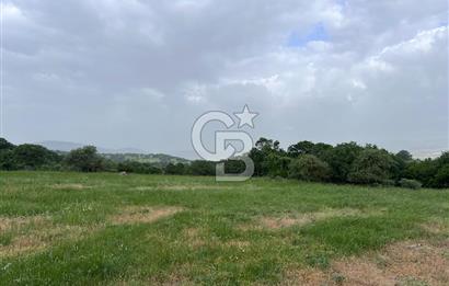 BALIKESİR İVRİNDİ GÖKÇEYAZI'DA HARİKA LOKASYONDA TARLA! 15.950m2