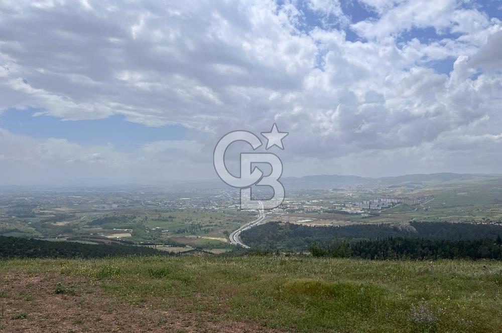 BALIKESİR ALTIEYLÜL AYVATLAR'DA MUHTEŞEM MANZARALI TARLA! 8563m2