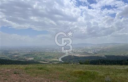 BALIKESİR ALTIEYLÜL AYVATLAR'DA MUHTEŞEM MANZARALI TARLA! 8563m2