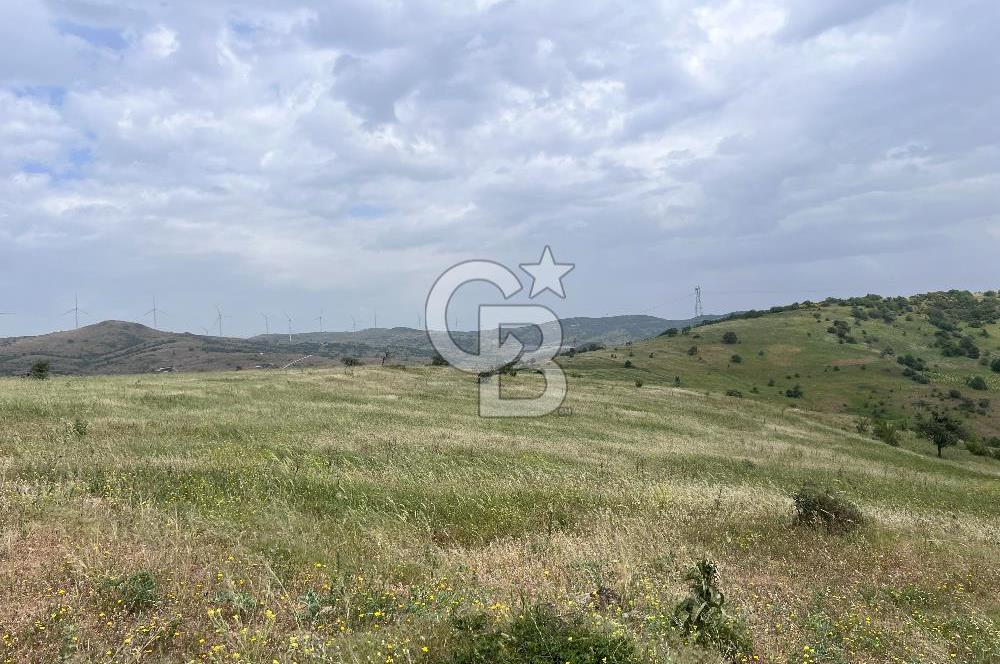 BALIKESİR ALTIEYLÜL AYVATLAR'DA MUHTEŞEM MANZARALI TARLA! 8563m2