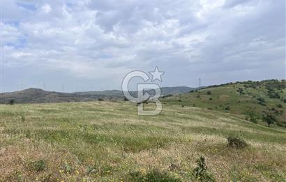 BALIKESİR ALTIEYLÜL AYVATLAR'DA MUHTEŞEM MANZARALI TARLA! 8563m2