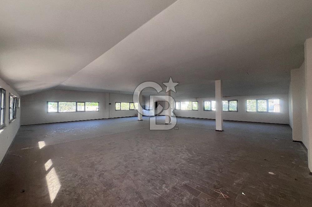 YALOVA TAŞKÖPRÜ KİRALIK İŞYERİ/İMALATHANE/OFİS