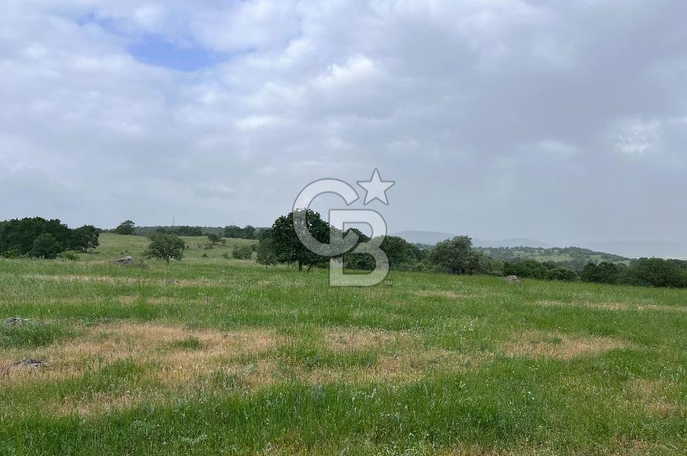 BALIKESİR İVRİNDİ GÖKÇEYAZI'DA HARİKA LOKASYONDA TARLA! 15.950m2