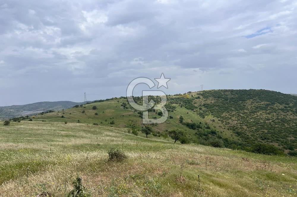 BALIKESİR ALTIEYLÜL AYVATLAR'DA MUHTEŞEM MANZARALI TARLA! 8563m2