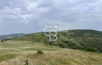 BALIKESİR ALTIEYLÜL AYVATLAR'DA MUHTEŞEM MANZARALI TARLA! 8563m2
