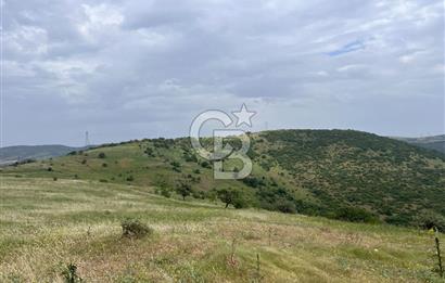 BALIKESİR ALTIEYLÜL AYVATLAR'DA MUHTEŞEM MANZARALI TARLA! 8563m2