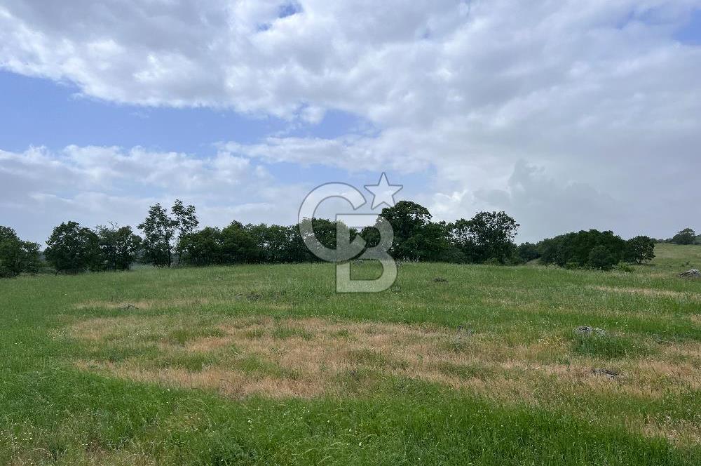 BALIKESİR İVRİNDİ GÖKÇEYAZI'DA HARİKA LOKASYONDA TARLA! 15.950m2