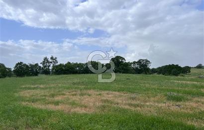 BALIKESİR İVRİNDİ GÖKÇEYAZI'DA HARİKA LOKASYONDA TARLA! 15.950m2
