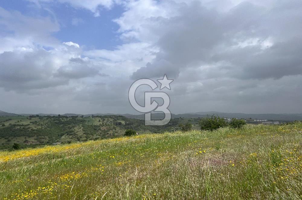 BALIKESİR ALTIEYLÜL DEREKÖY'DE KADASTRO YOLU OLAN TARLA! 7.593M2