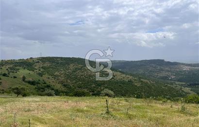 BALIKESİR ALTIEYLÜL AYVATLAR'DA MUHTEŞEM MANZARALI TARLA! 8563m2