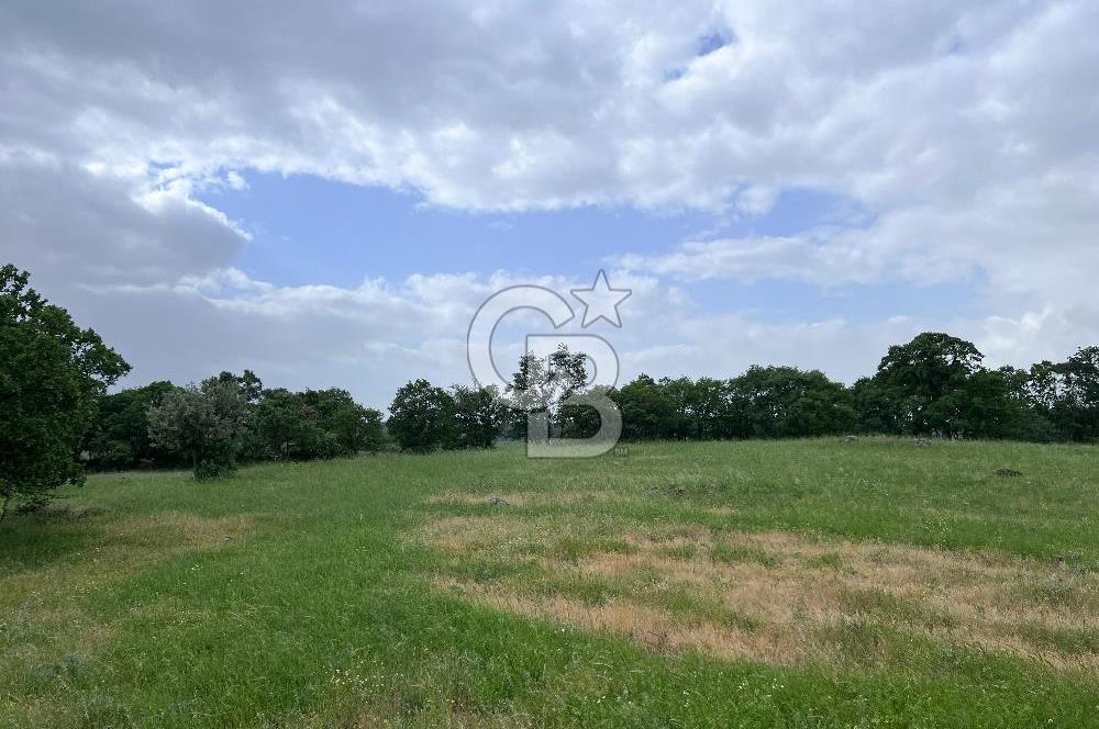 BALIKESİR İVRİNDİ GÖKÇEYAZI'DA HARİKA LOKASYONDA TARLA! 15.950m2