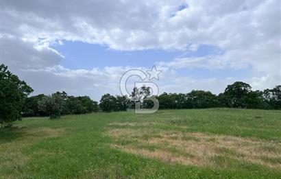 BALIKESİR İVRİNDİ GÖKÇEYAZI'DA HARİKA LOKASYONDA TARLA! 15.950m2