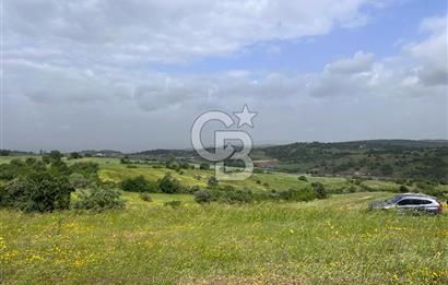 BALIKESİR ALTIEYLÜL DEREKÖY'DE KADASTRO YOLU OLAN TARLA! 7.593M2