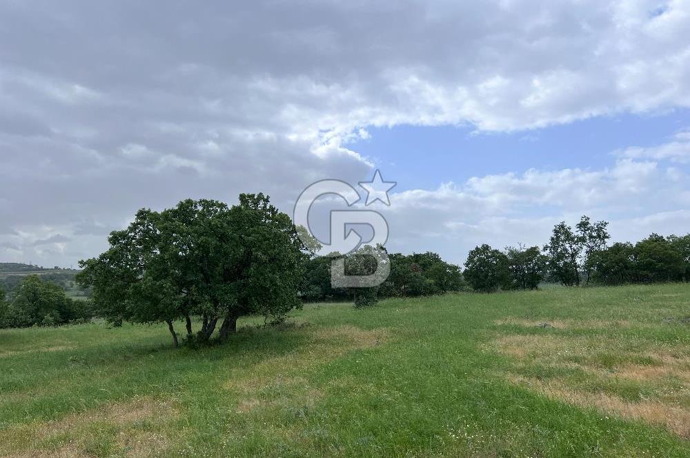 BALIKESİR İVRİNDİ GÖKÇEYAZI'DA HARİKA LOKASYONDA TARLA! 15.950m2