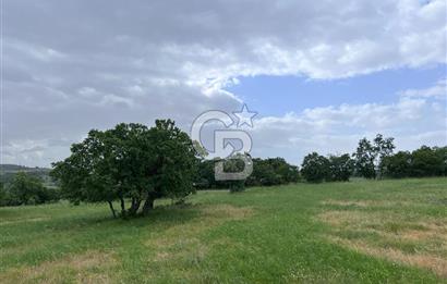 BALIKESİR İVRİNDİ GÖKÇEYAZI'DA HARİKA LOKASYONDA TARLA! 15.950m2