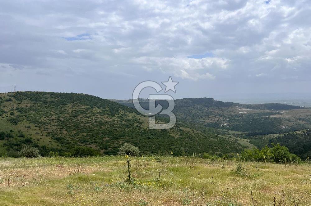 BALIKESİR ALTIEYLÜL AYVATLAR'DA MUHTEŞEM MANZARALI TARLA! 8563m2