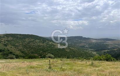 BALIKESİR ALTIEYLÜL AYVATLAR'DA MUHTEŞEM MANZARALI TARLA! 8563m2