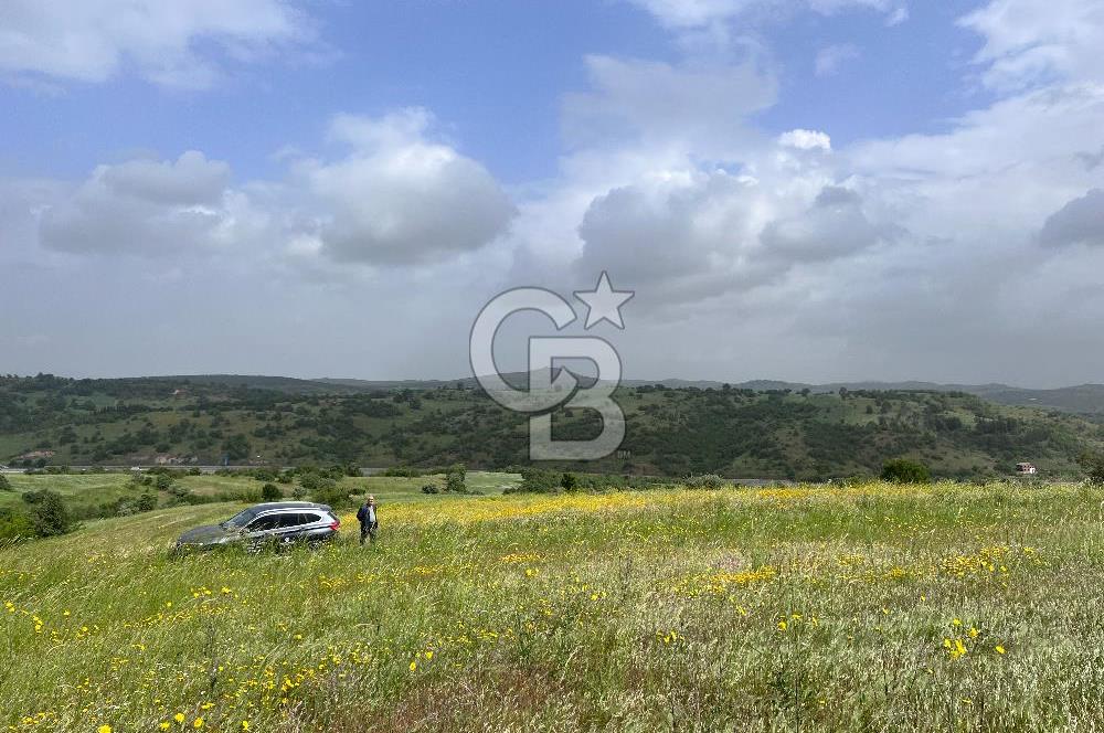 BALIKESİR ALTIEYLÜL DEREKÖY'DE KADASTRO YOLU OLAN TARLA! 7.593M2