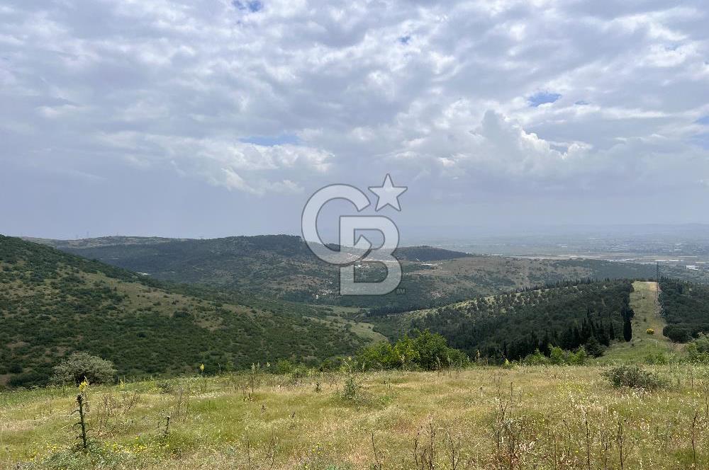 BALIKESİR ALTIEYLÜL AYVATLAR'DA MUHTEŞEM MANZARALI TARLA! 8563m2