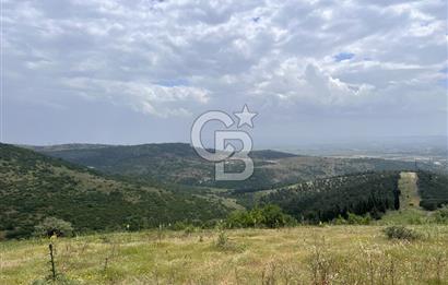 BALIKESİR ALTIEYLÜL AYVATLAR'DA MUHTEŞEM MANZARALI TARLA! 8563m2