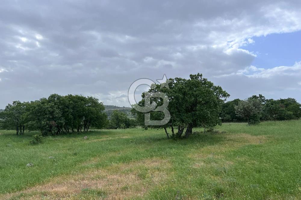 BALIKESİR İVRİNDİ GÖKÇEYAZI'DA HARİKA LOKASYONDA TARLA! 15.950m2