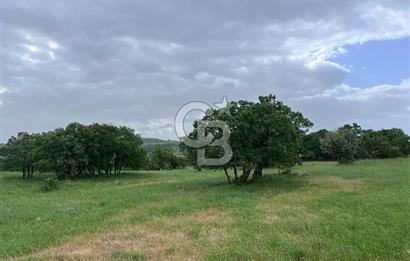 BALIKESİR İVRİNDİ GÖKÇEYAZI'DA HARİKA LOKASYONDA TARLA! 15.950m2