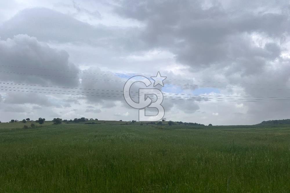 BALIKESİR KARESİ NAİPLİ'DE YOLA CEPHE, EMSALSİZ TARLA! 21.330 m2