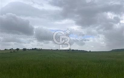 BALIKESİR KARESİ NAİPLİ'DE YOLA CEPHE, EMSALSİZ TARLA! 21.330 m2