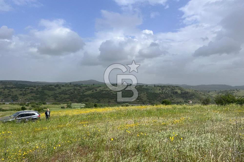 BALIKESİR ALTIEYLÜL DEREKÖY'DE KADASTRO YOLU OLAN TARLA! 7.593M2