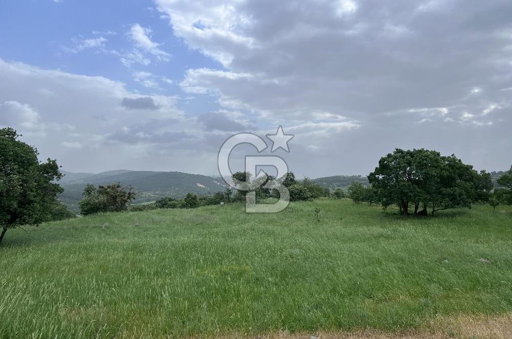 BALIKESİR İVRİNDİ GÖKÇEYAZI'DA HARİKA LOKASYONDA TARLA! 15.950m2