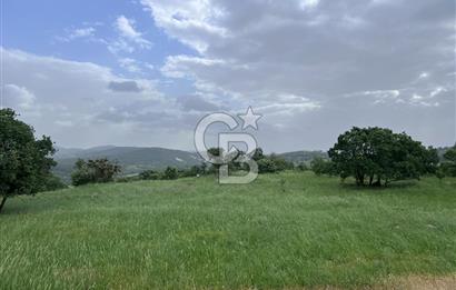 BALIKESİR İVRİNDİ GÖKÇEYAZI'DA HARİKA LOKASYONDA TARLA! 15.950m2