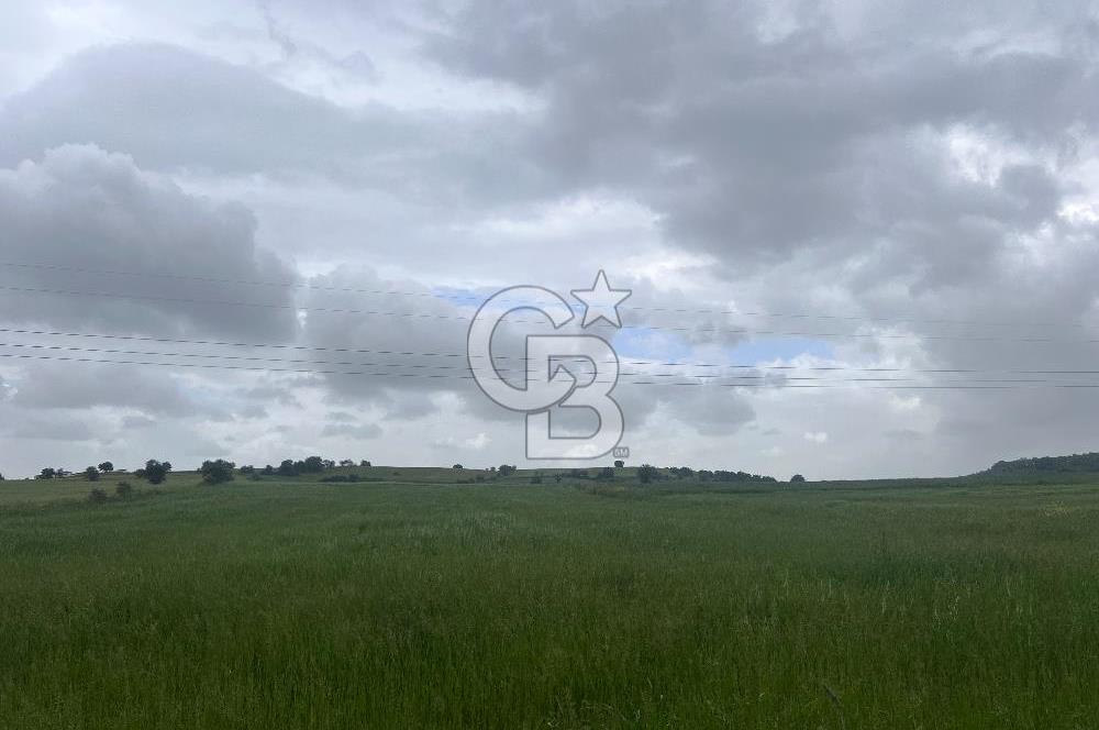 BALIKESİR KARESİ NAİPLİ'DE YOLA CEPHE, EMSALSİZ TARLA! 21.330 m2